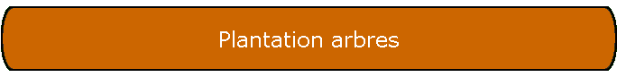 Plantation arbres