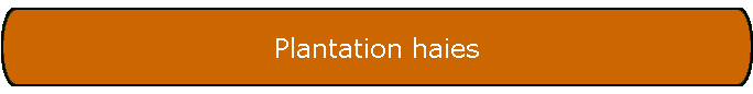 Plantation haies