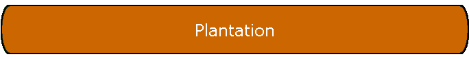 Plantation